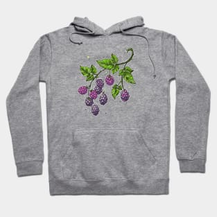 blackberries on twig Hoodie